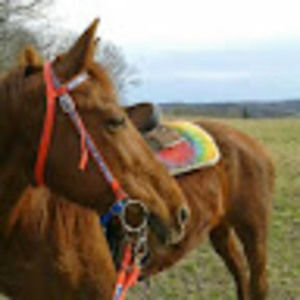 Meet your Posher, Lindsay